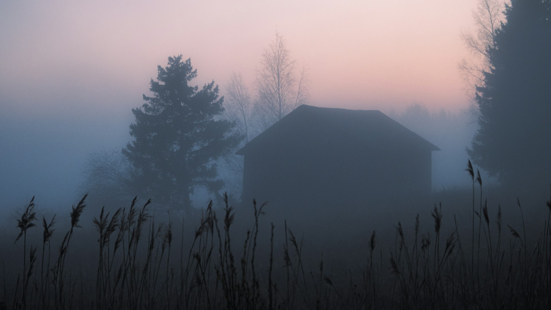 A misty farmhouse at dusk, half-hidden by tall grass and trees