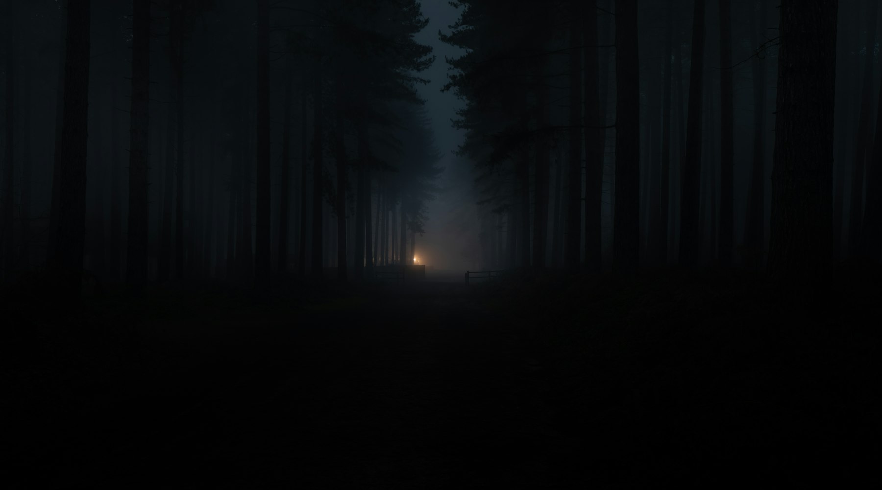 A dark forest path disappearing into night mist